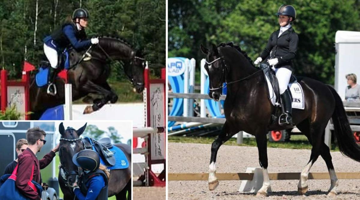 Mathilda rider Breeders-final på familjens uppfödning: ”Drömmen är att nå Grand Prix”