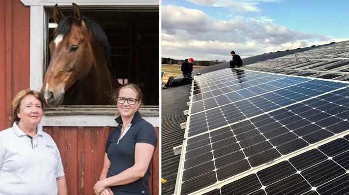 Sissi och Nina Lilja satte solpaneler på ridhuset: "Mer el än vi använder"