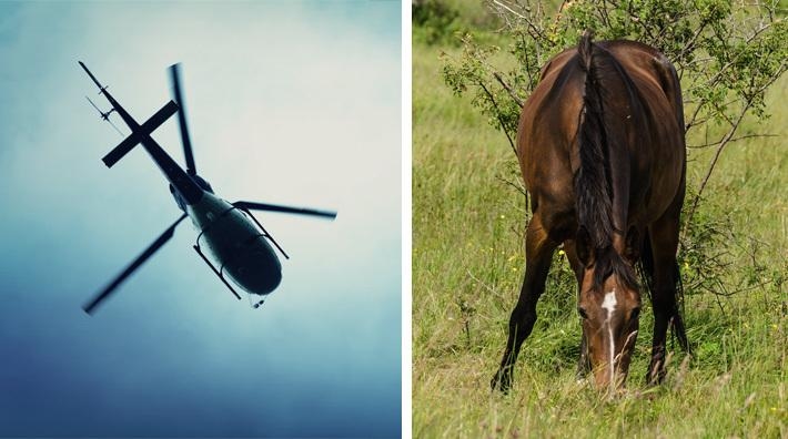 Lågt flygande helikopter gör undersökningar i Halland