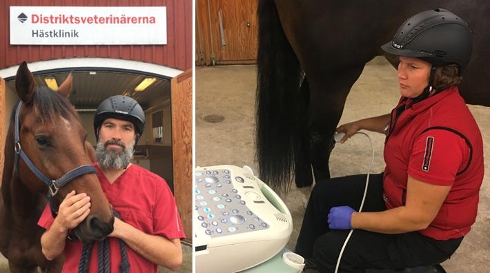 <i>David Köster, klinikchef för distriktsveterinärerna i Vårgårda, Stenungsund och Lilla Edet, bär hjälm. Liksom hans kollega Hanna Borg.</i>