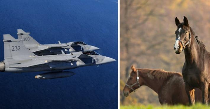 Försvarsmakten förbereder största militärövningen på 20 år