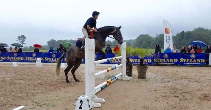 <i>Foto: Swedish Eventing </i>