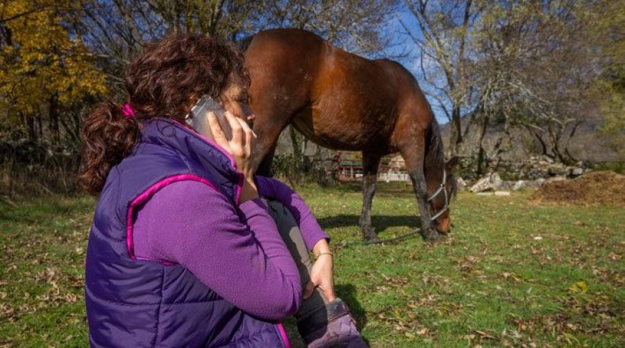 Fick reservation efter veterinärkonsultation online