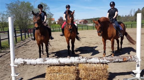 <i>Elever som har hoppat terräng på utebanan. Rebecka på Simply the best e. Cagliostro – Almeto Z, Edith på Vostok e. Orame – Glenridge och Linnea på Nelly P e. Lucky Light – Urbino. Foto: Anne Erikss...