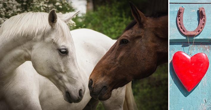 <i>Foto: Adobe Stock </i>