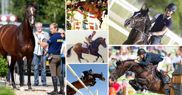 <i>Foto: Tomas Holcbecher, Janne Bugtrup och Stefano Grasso/LGCT </i>