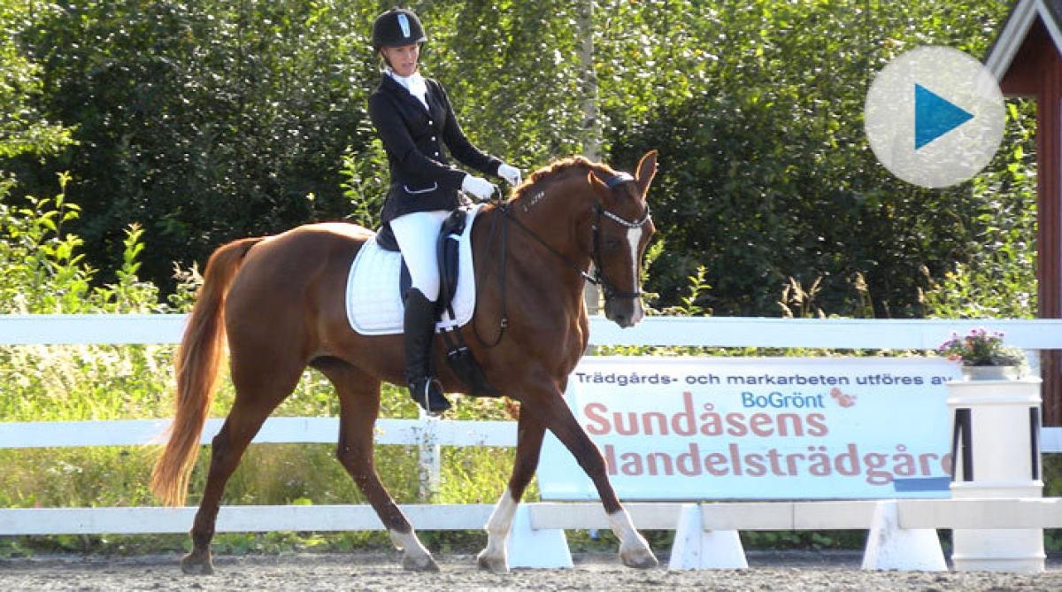 Sandra och ridtravaren Doris debuterade Medelsvår B: ”Mitt drömmål”