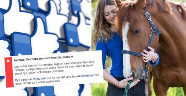 <i>Foto: Adobe Stock samt skärmdump från Facebook. </i>