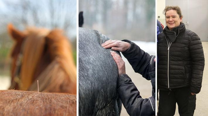 <i>Foto: Adobe Stock (arkiv) och Cajsa Ekström (porträtt)</i>