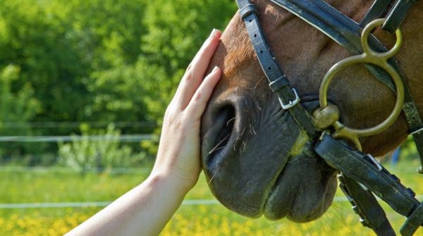 <i>Foto: Adobe Stock</i>