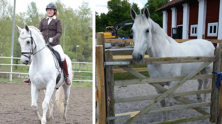 Sofhie Hagen och Chaplin gick från toppen till botten på tio dagar