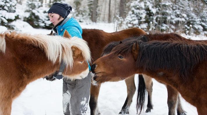 Insamling för att driva russprojektet vidare