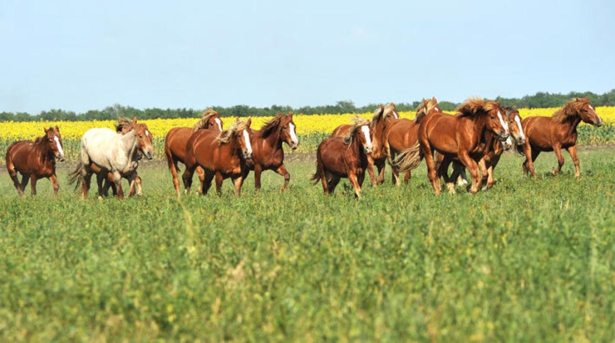 <i>Foto: Adobe Stock</i>