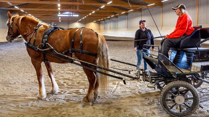 <i>Therese Johansson och hennes Jill under ett träningspass för Susanne Ankermark, i klubbens rymliga ridhus.</i>