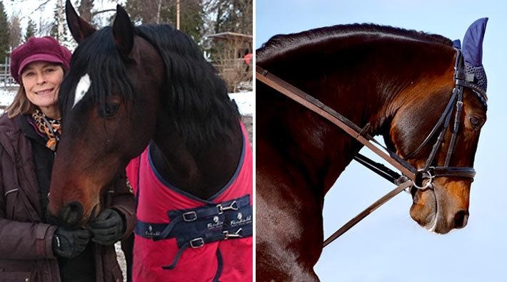 <i>Catrin tror att regeln har bidragit till positivare stämning, hästägarna är eniga om ett grundkoncept för utbildning.</i>