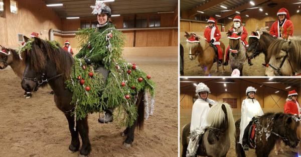 Julkul med islandshästarna i Krafturs showgrupp