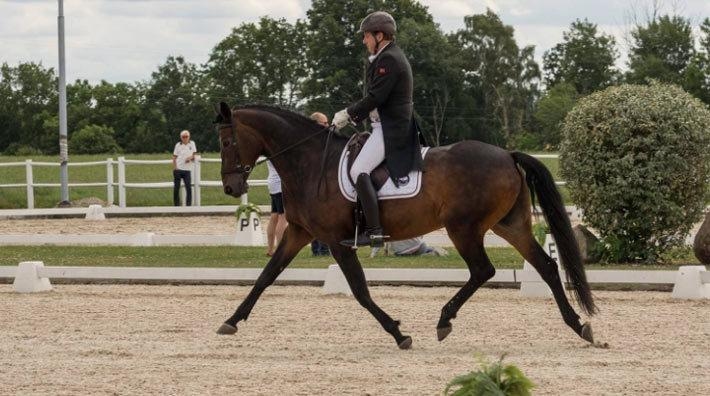 <i>Tidigare i år red Per Waaler Grand Prix  bettlöst som uppvisning vid Laholms dressyrtävlingar.</i>