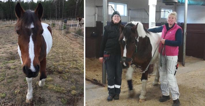 <i>Elisabeth Säflund och Mia Åslund arbetar på Kils ryttarförening, där Elsa är en populär ridskolehäst.</i>