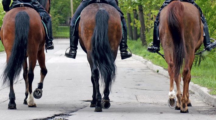 Misshandlades av bilist under körturen