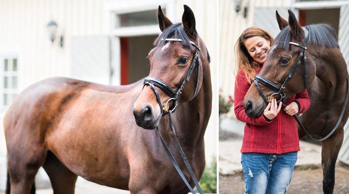 Hobbyhästen kom ut som dressyrstjärna: "Jag föll för hennes söta ansikte"