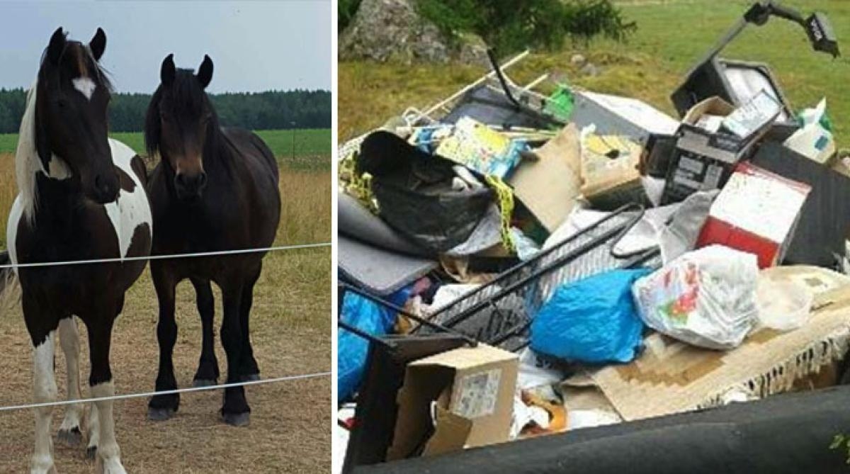 <i>Sophögen som dumpats i hagen innehåller det mesta. Foto: Privat</i>