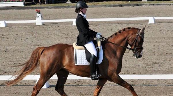 <i>Förra året gjorde Paulina debut på storhäst i Falsterbo. Detta på Lorea, ett sto som hon själv ridit in och utbildat.</i>