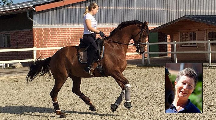 <i>Foto: Privat (ridbild) och Adam Haglund, arkivbild (porträtt). Fotnot: Hippson avråder från ridning utan hjälm.</i>