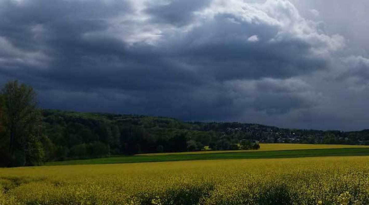 <i> Hästägare bör har stor respekt för de mörka molnen. </i>