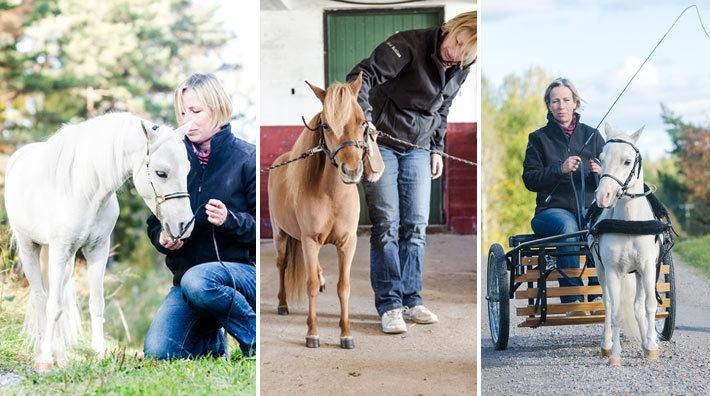 Hennes tävlingshäst äter två kilo hö per dag