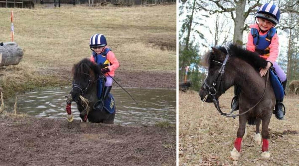 Fälttävlansekipaget Edwina och Tusseman charmar ridsportvärlden