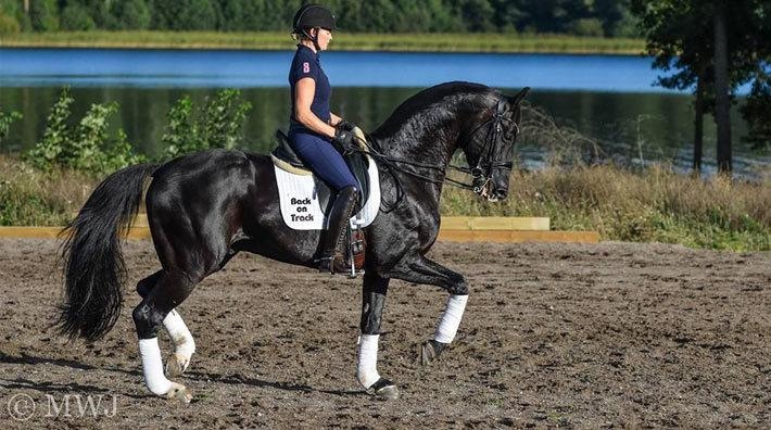 Jeanna Högberg satsar framåt med Dalwhinnie