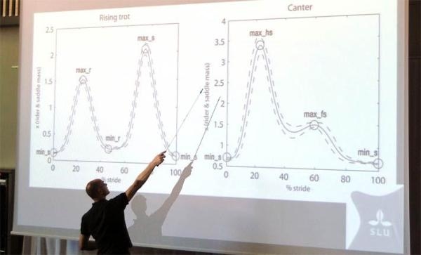 Så påverkar sits och sadel trycket på hästryggen