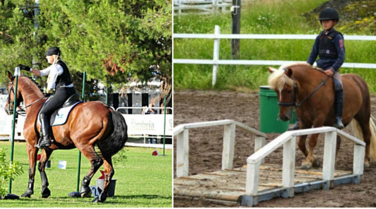 Working equitation gör om och gör rätt