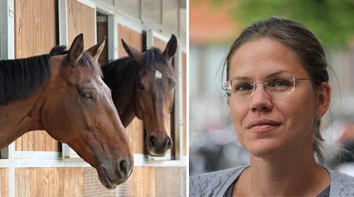 Unikt projekt: "Blir världens första forskningsanknutna ridskola"