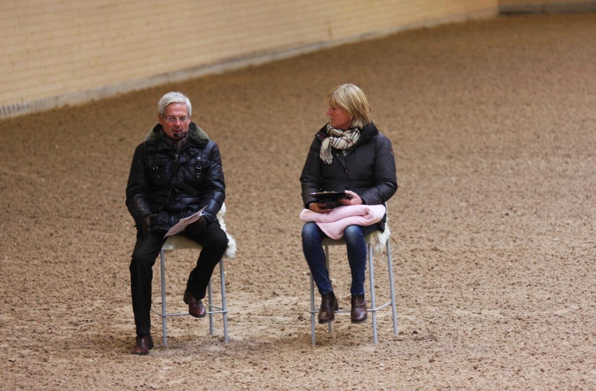 Dietrich och Elisabeth inledde med att diskutera vad han som domare tittar efter vid unghästtävlingar.