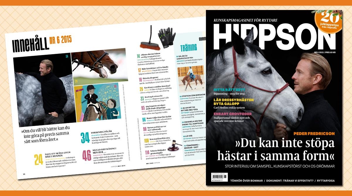 Hippson Nr 6 – 2015