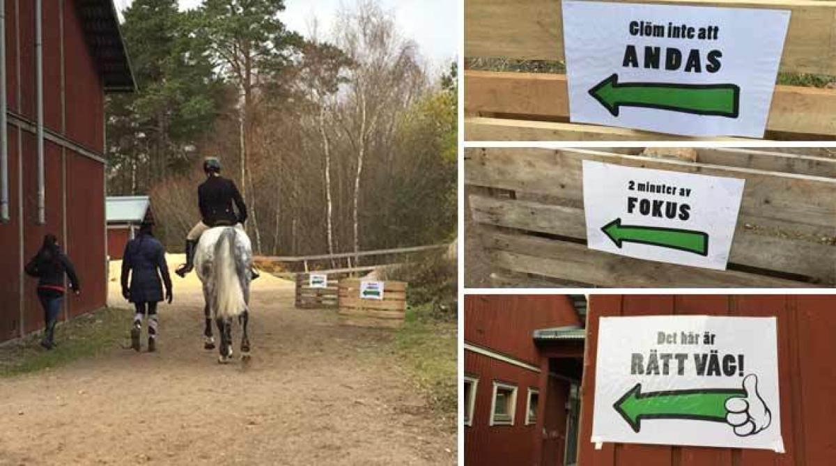 "Vill kalla dem positiva vägvisare till banan"