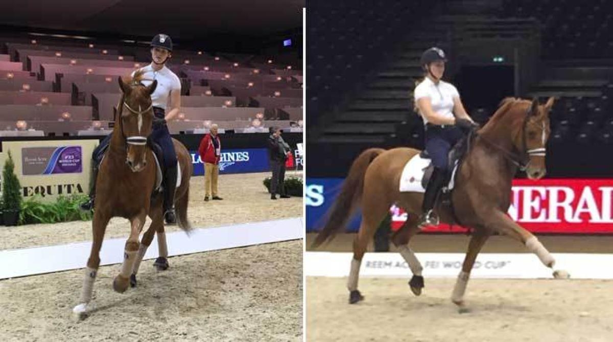 Marina Mattsson och Beckham under onsdagkvällens sena träningspass inne på arenan.