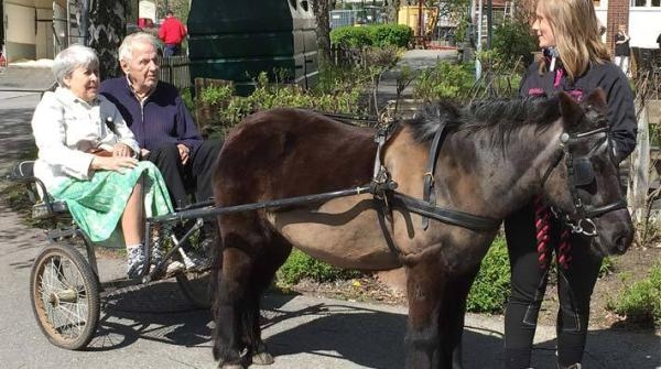 Margareta Blombäck och Karl-Evert Sjöström tog tillfället i akt att åka häst och vagn.