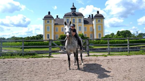 Strömsholms fina skolhästar ska vägleda ponnyryttare