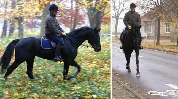 Jan Jönsson: ”Det är lättare att få en spänd häst att slappna av ute i skogen”