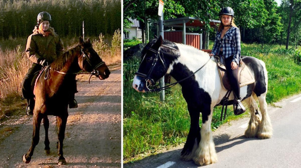 <i>Hästen som dog hette Epok och var ett 22-årigt halvblod, han syns till vänster. Till höger överlevande Winston.</i>