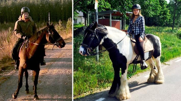 <i>Hästen som dog hette Epok och var ett 22-årigt halvblod, han syns till vänster. Till höger överlevande Winston.</i>