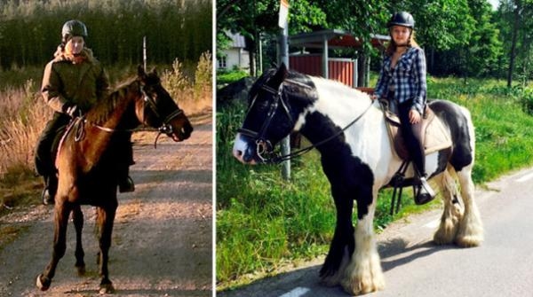 <i>Hästen som dog hette Epok och var ett 22-årigt halvblod, han syns till vänster. Till höger överlevande Winston.</i>