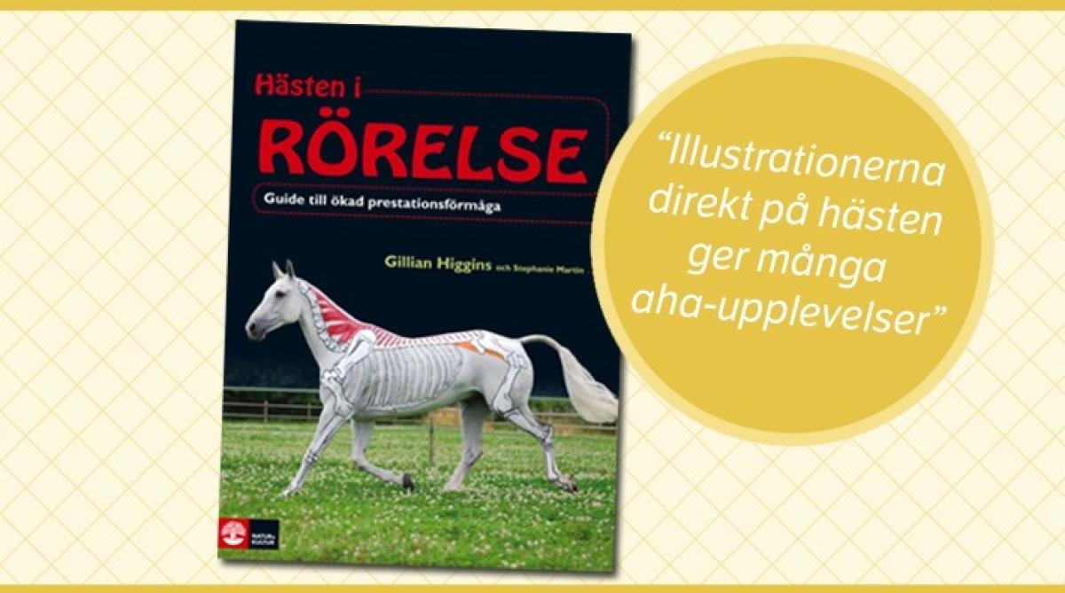 Köp boken Hästen i rörelse av Gillian Higgins