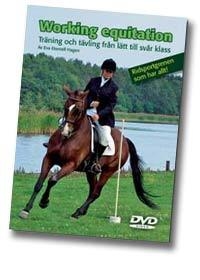 Introduktion till Working Equitation