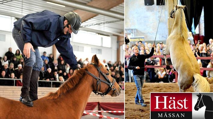 Eamon Hickey och Tobbe Larsson håller clinics - bland många andra.<br>