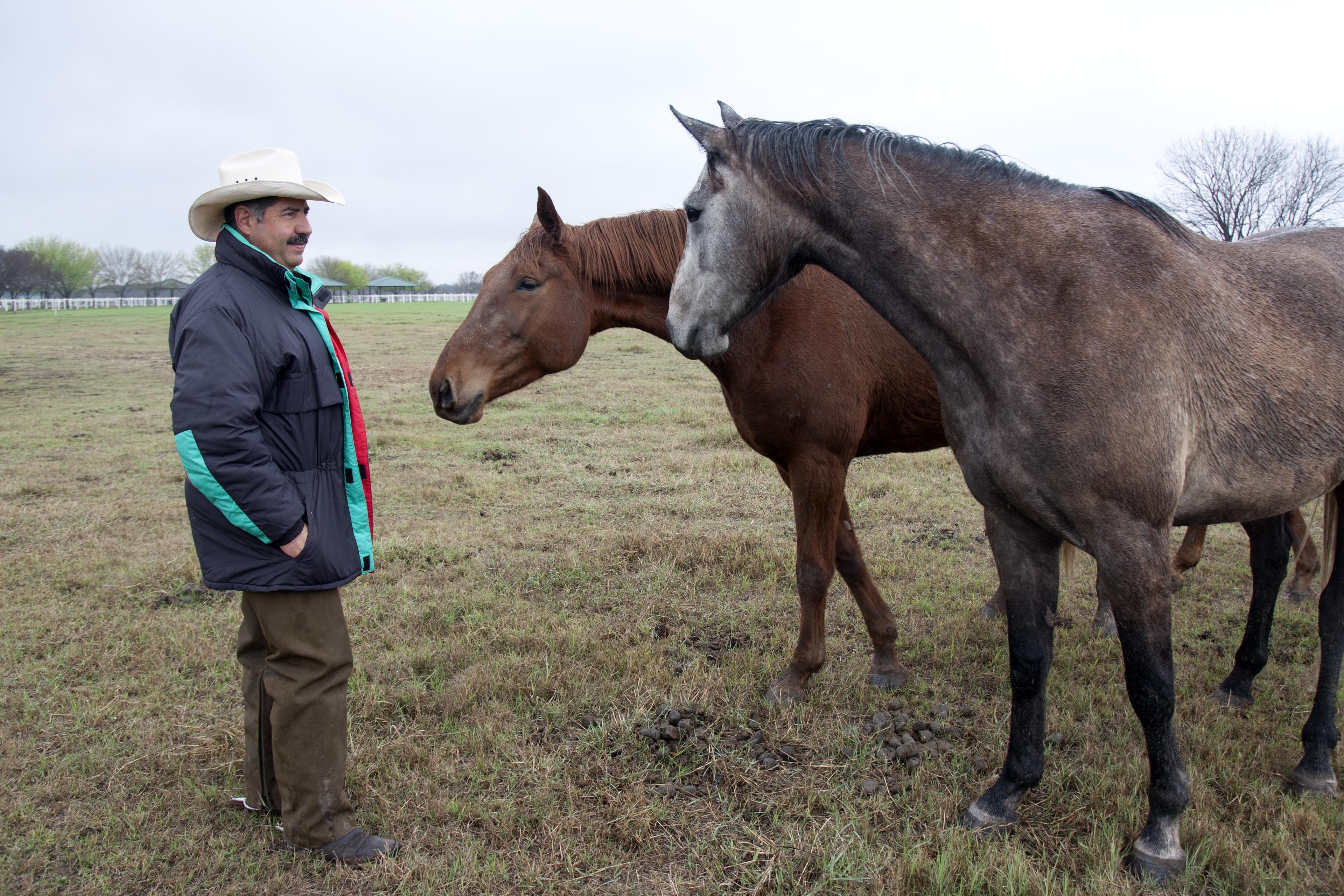 Oscar Trevino är förman på ''farmen'' och har ansvar för det mesta som rör hästarna där. ''Så länge de är här är de mina'', säger han och ler.