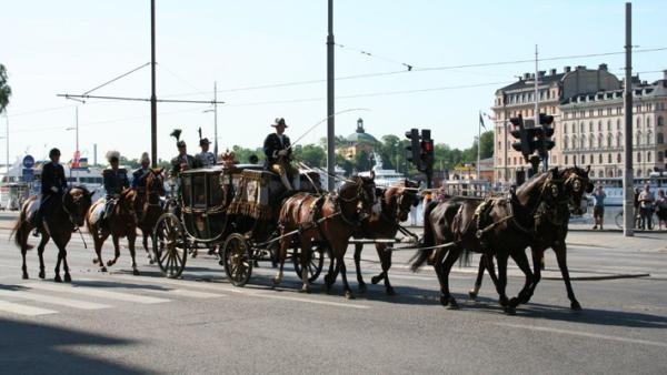 Det estetiska är viktigt när Hovstallet visar upp sig. Precis som med ridning är körning en konst – när den utförs på rätt sätt.