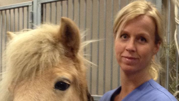 Möt Hippsons veterinärexpert Eva Andersson Sharon